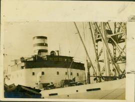 The Egyptian Freighter, E...