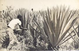 People's Republic of Moza...