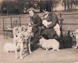 A Private "dog show" in H...
