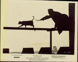 'That Darn Cat' Walt Disn...
