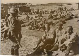 Polish Prisoners of War