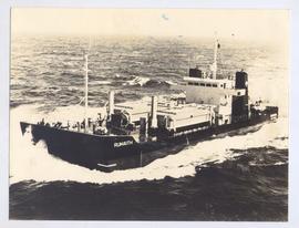 The Ms “ Rumaith “ Built ...