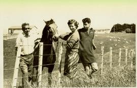 The Maori and the Pakehas