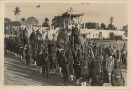 Mysore Prince's Wedding