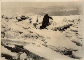 Europe in the Icy Grip of...