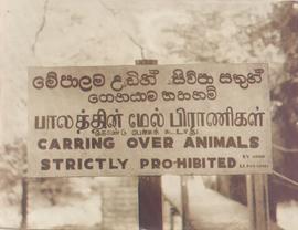 Sign Board