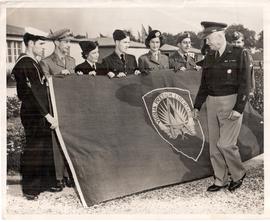 The New Green and Gold Fl...