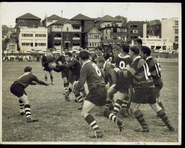 Australians Rugby