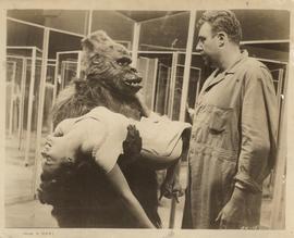 A Scene from "Gorilla at ...
