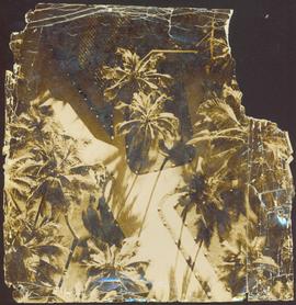 Coconut Industry in Sri L...