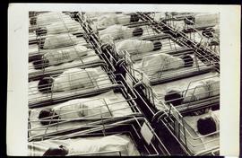 New Born Infants Was Made...