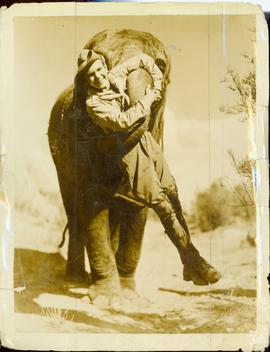 Anna May, Hollywood's Ele...