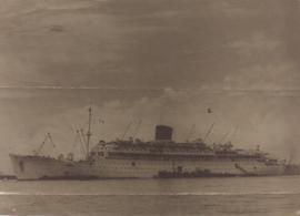 Dutch Liner "Orange" in C...