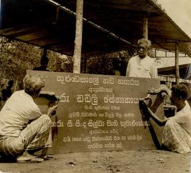 Pallekele