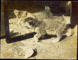 No You Are Not Seeing Dou...