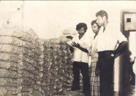 Export Production of Sri ...