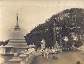 Batrce at Kalutara
