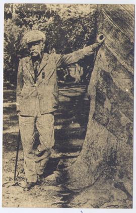 Sir Henry Wickham
