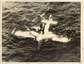 Robin D' Erlanger and Pla...