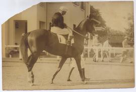 Jockey - 1939