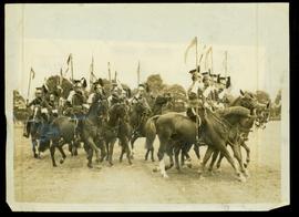 Police Light Brigade