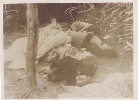 The Massacred Vassiliades...