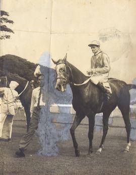 Horse Rider and Trainers