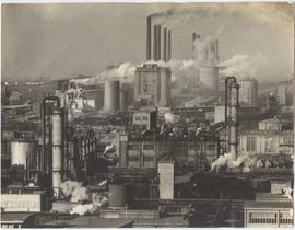 THE LEUNA CHEMICAL WORKS