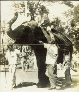 Trunk Call.. From a Prime...