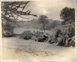 Beautiful Setting in Horn...