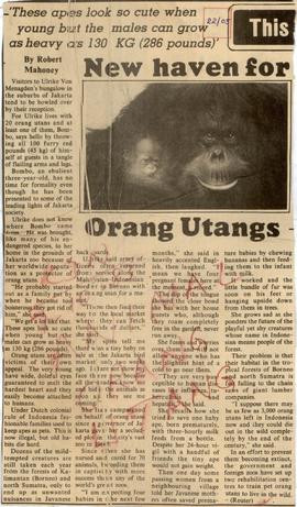 New Haven for Orang Utangs