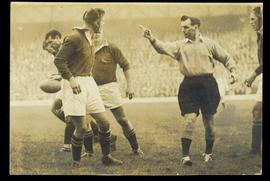 Rugby
