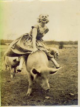 Joanne Mathews on Pig
