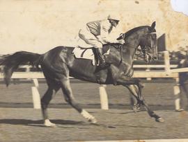 F. Shean Mounted on Buzal...
