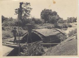 Copra being Loaded into a...