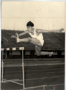 Chinese Champion Hurdler ...