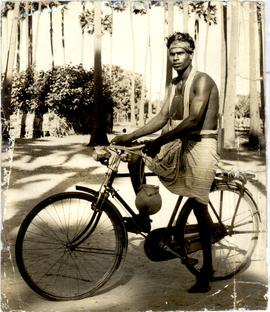 Toddy Taverns, Beer Store...