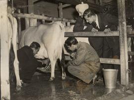 Idian Crickters Visit Farm