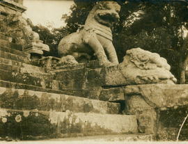 Yapahuwa.
