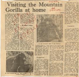 Visiting the Mountain Gor...