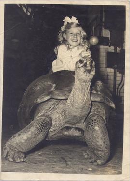 A Great Lover Of Tortoises