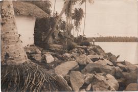 Negambo Beach has Been Wa...
