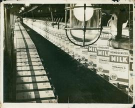 Paper Milk Cantainers , T...