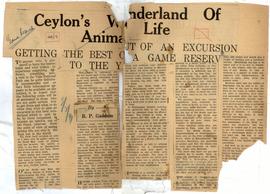 Ceylon's Wonderland of An...