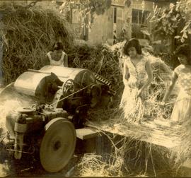 Paddy Being Mechanically ...