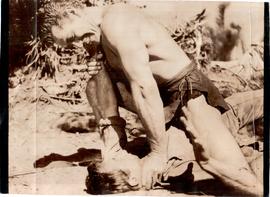 Thrilling Tarzan Adventure